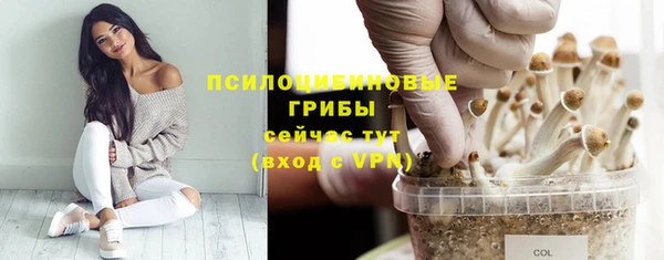 трава Беломорск