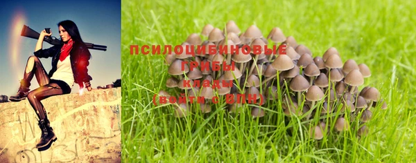 альфа пвп Богородск