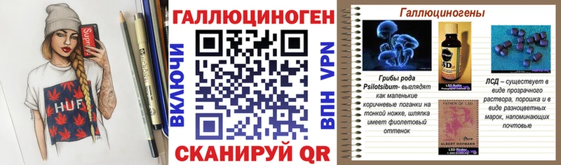 Галлюциногенные грибы Psilocybine cubensis  Дагестанские Огни 