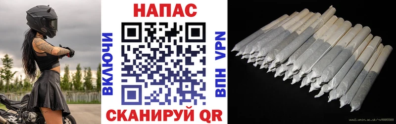 Конопля OG Kush  Дагестанские Огни 